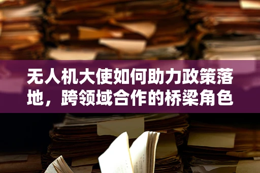 无人机大使如何助力政策落地，跨领域合作的桥梁角色