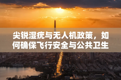 尖锐湿疣与无人机政策，如何确保飞行安全与公共卫生并重？