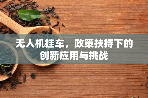 无人机挂车，政策扶持下的创新应用与挑战