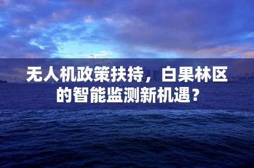 无人机政策扶持，白果林区的智能监测新机遇？