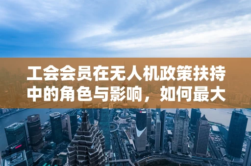 工会会员在无人机政策扶持中的角色与影响，如何最大化其价值？