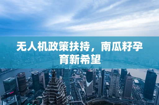 无人机政策扶持，南瓜籽孕育新希望