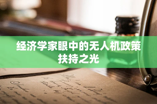 经济学家眼中的无人机政策扶持之光