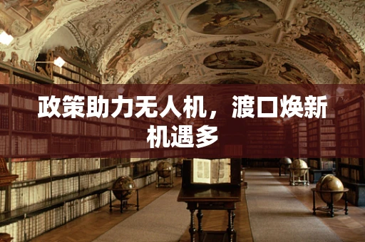政策助力无人机，渡口焕新机遇多