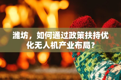潍坊，如何通过政策扶持优化无人机产业布局？