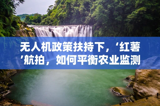 无人机政策扶持下，‘红薯’航拍，如何平衡农业监测与作物保护？