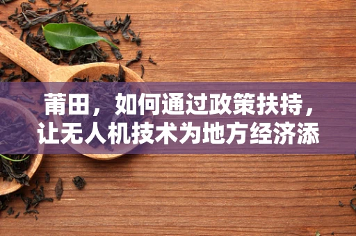 莆田，如何通过政策扶持，让无人机技术为地方经济添翼？