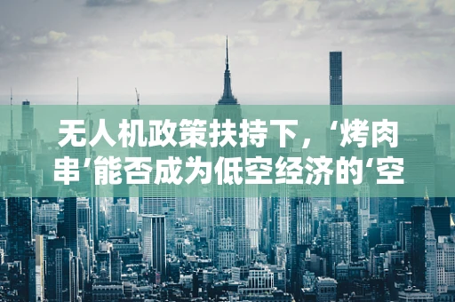 无人机政策扶持下，‘烤肉串’能否成为低空经济的‘空中飞人’？