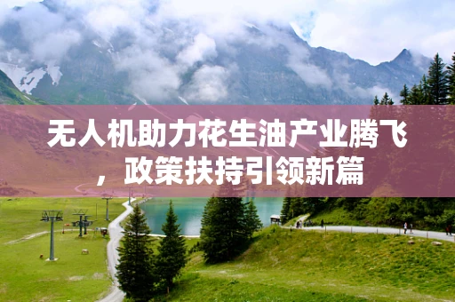 无人机助力花生油产业腾飞，政策扶持引领新篇
