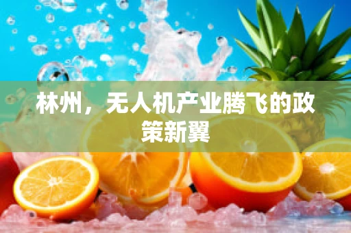 林州，无人机产业腾飞的政策新翼