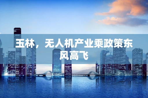玉林，无人机产业乘政策东风高飞