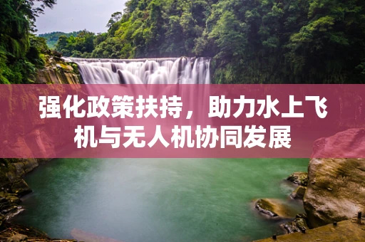 强化政策扶持，助力水上飞机与无人机协同发展