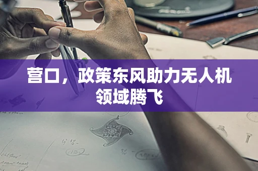 营口，政策东风助力无人机领域腾飞