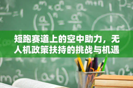 短跑赛道上的空中助力，无人机政策扶持的挑战与机遇？