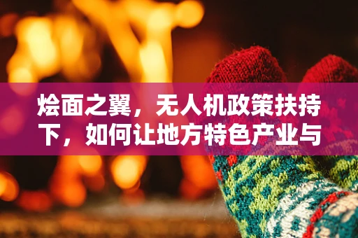 烩面之翼，无人机政策扶持下，如何让地方特色产业与航拍技术‘面’面俱到？