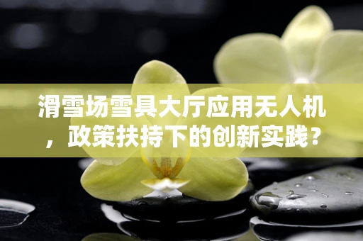 滑雪场雪具大厅应用无人机，政策扶持下的创新实践？